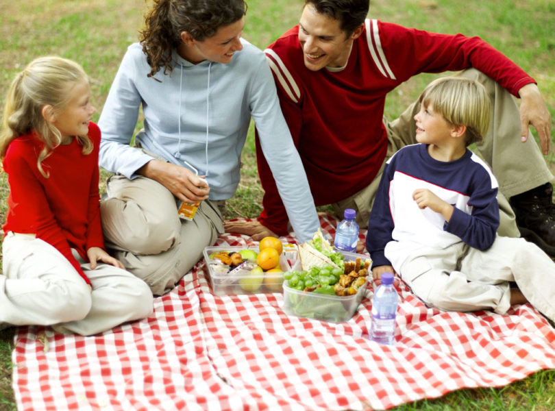 Family Picnic